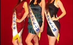 网络情缘广场舞